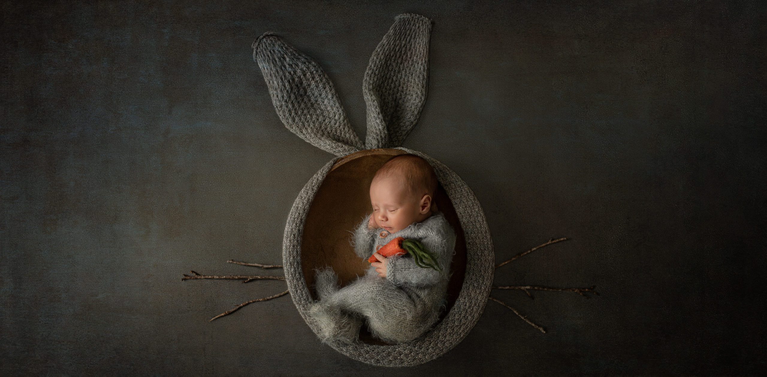 bunny digital background for photoshop
