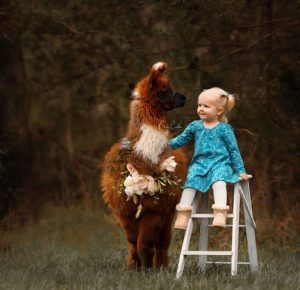 little girl with lama