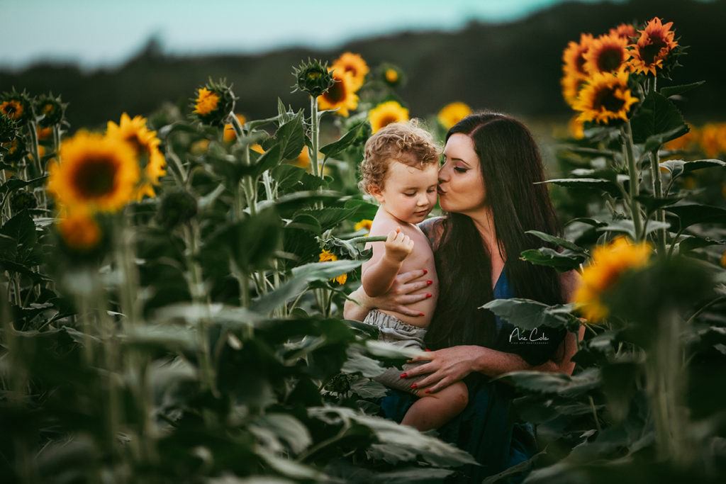  sunflower photo sessions in Lake Wylie-mother and toddler kissing in fields 