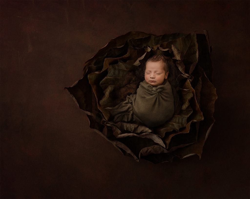Fine art images newborn baby photographer