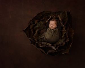 Charlotte top newborn baby photographer-niccole photography
