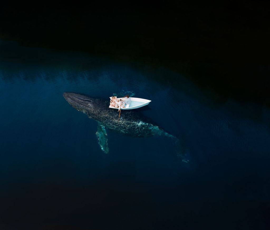 composite image of family in row boat and whale under the water