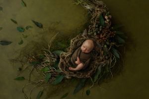 newborn baby sleeping in woodsy nest-niccole photography