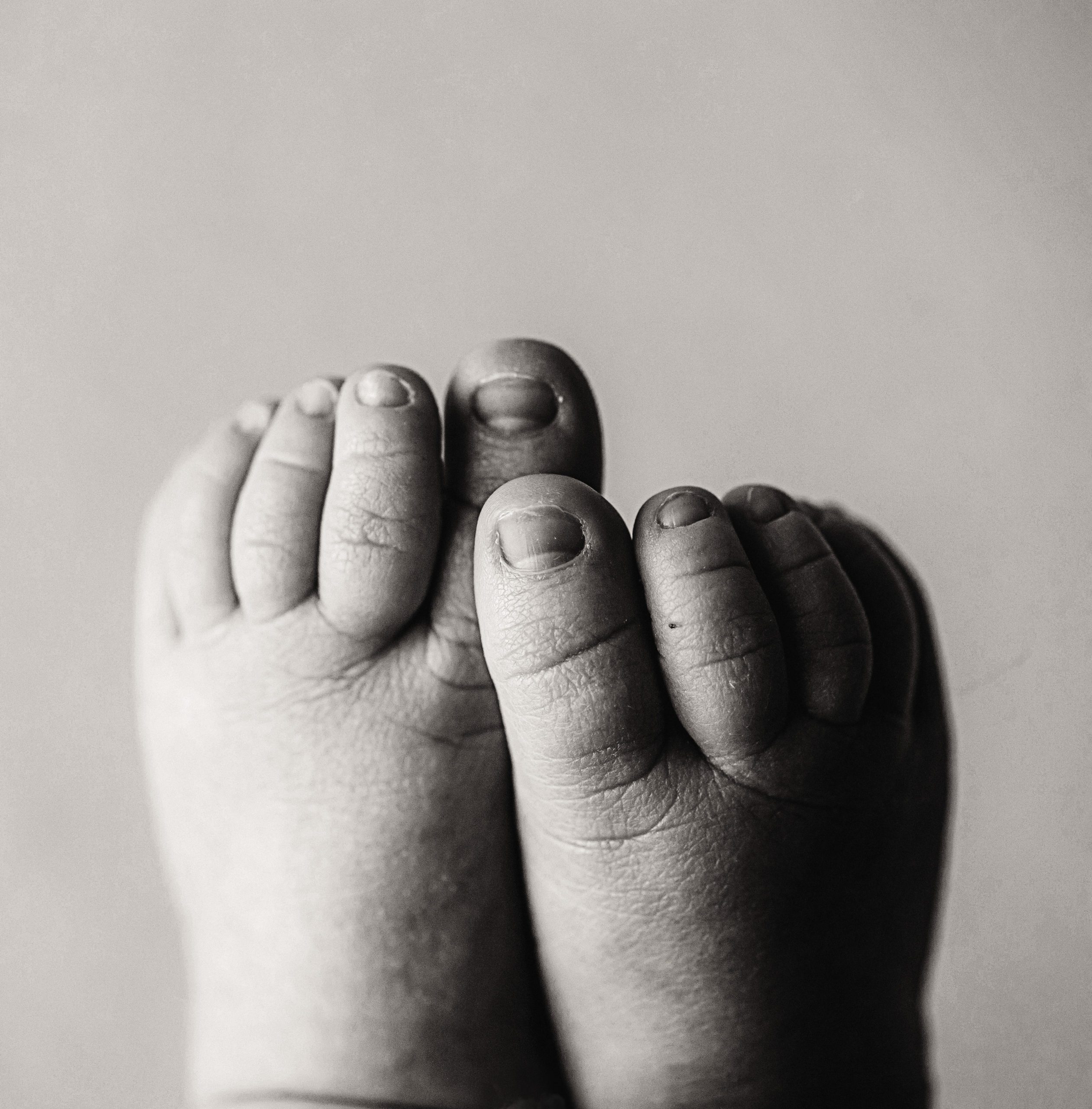 newborn baby toes_niccolephotography