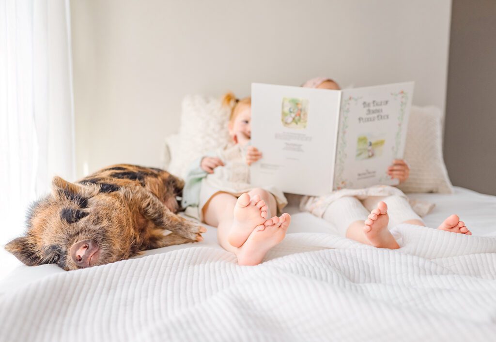 This little piggy is enjoying a nap while being read to