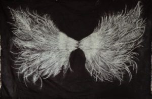 Chalk Wings NicCole Photography